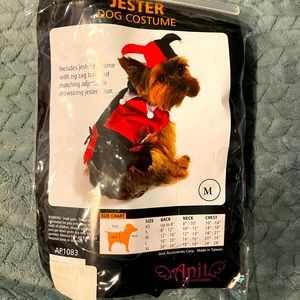 Jester costume medium